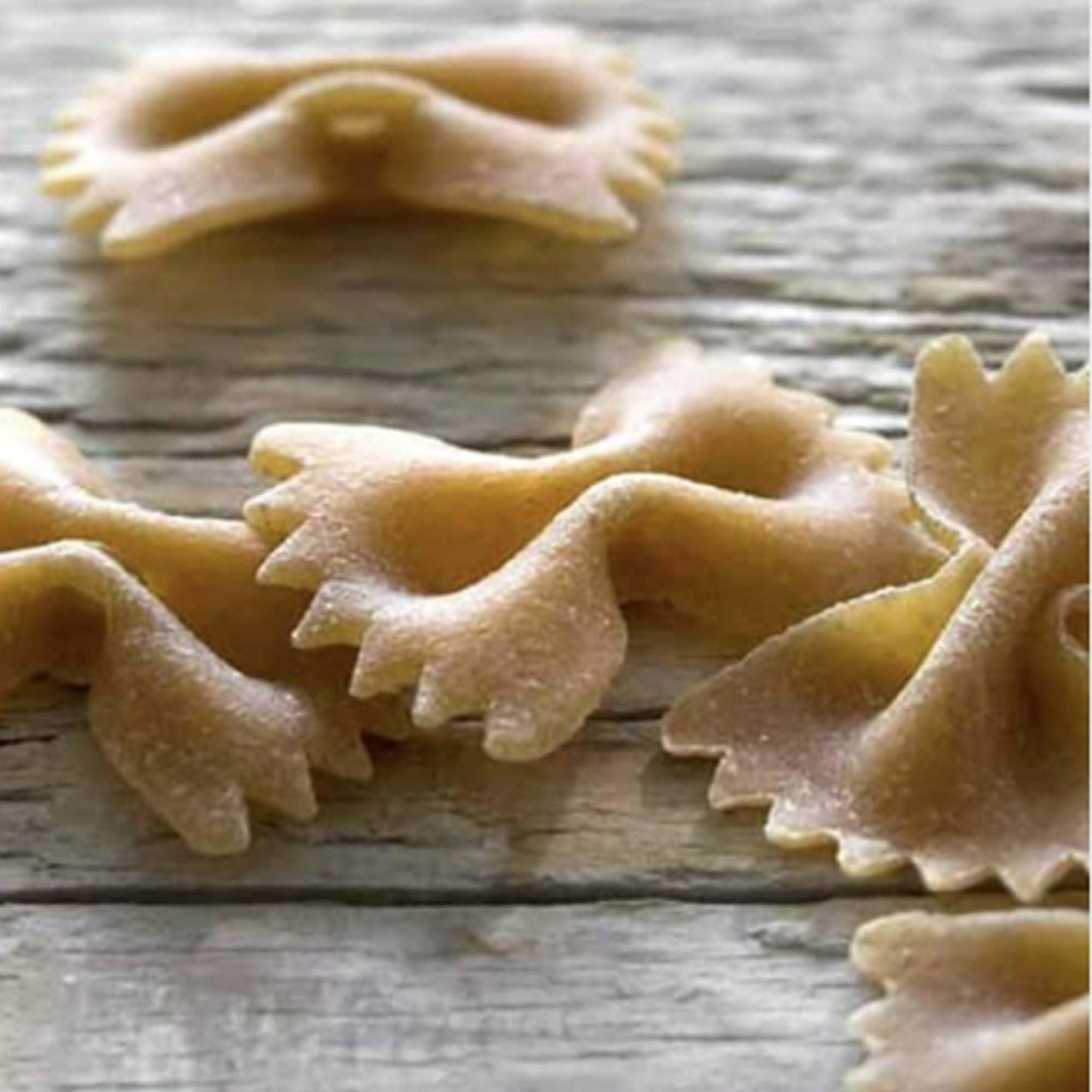 spirit-inspired flavorMO Farfalle Pasta, 16 oz, Pack of 1, Italian Pasta for Cooking