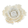 Global Sugar Art Premium Peony Sugar Cake Flower, White, Large, 1 Count By Chef Alan Tetreault