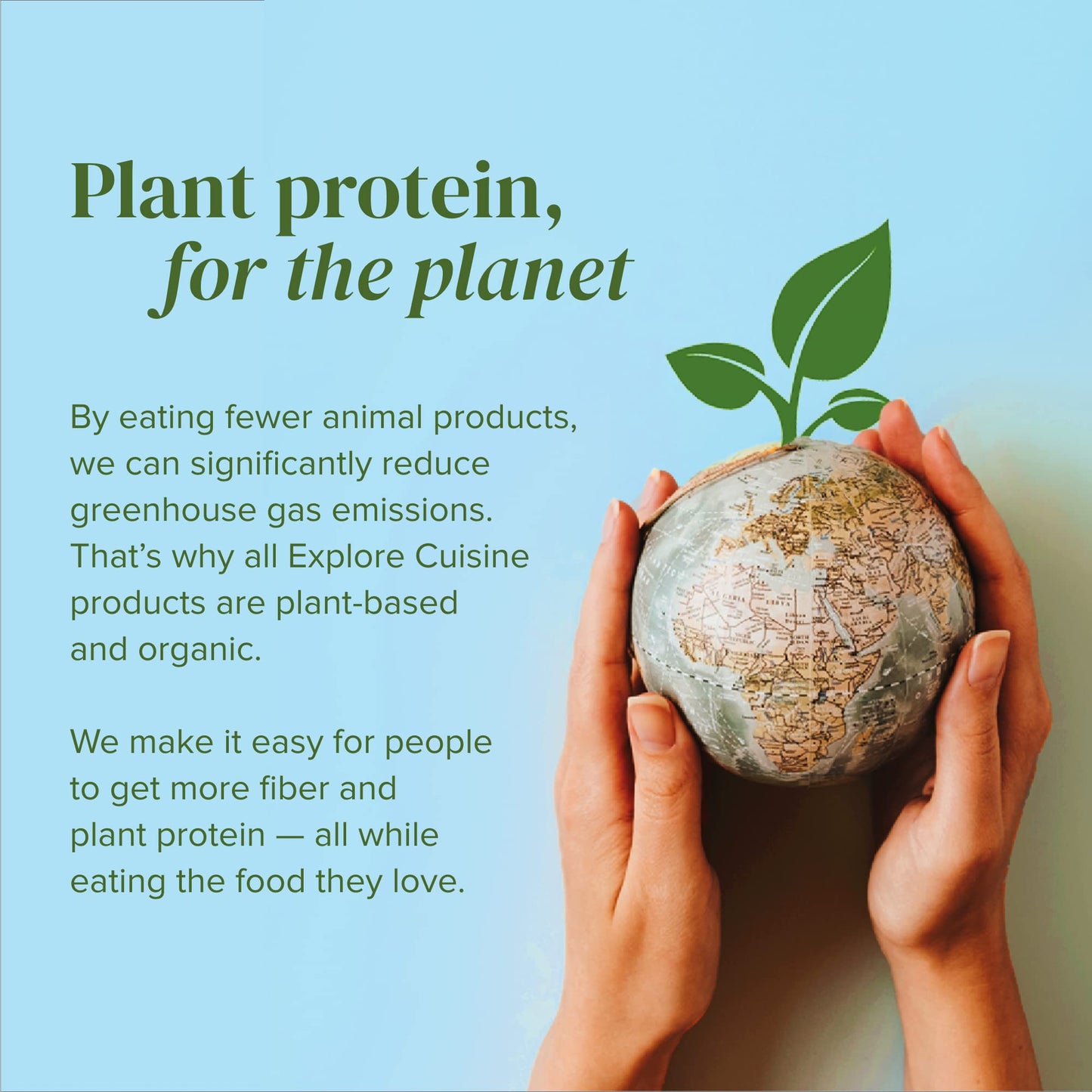 Explore Cuisine Organic Edamame Spaghetti - 8 oz - Easy-to-Make Pasta - High in Plant-Based Protein - Non-GMO, Gluten Free, Vega
