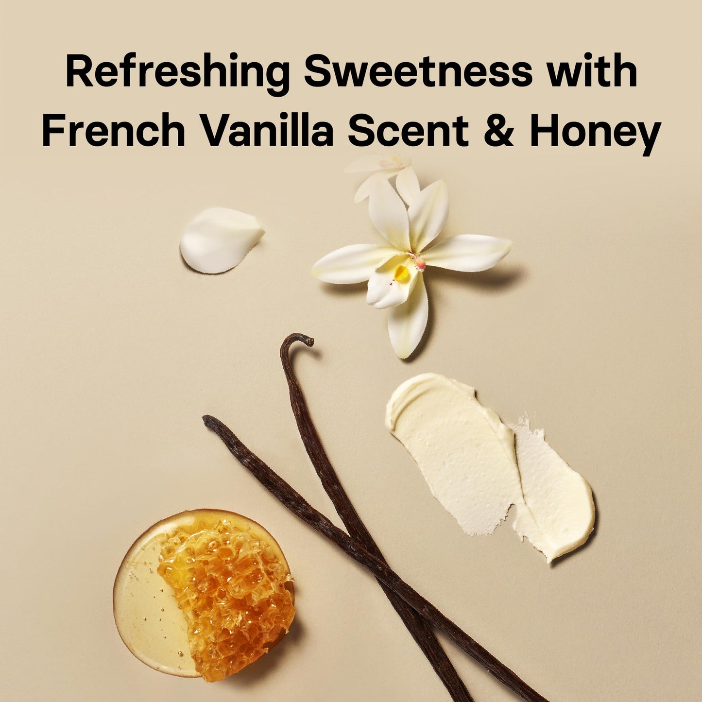 Osulloc Vanilla Honey Black Tea (20 Count, 1.05 Oz), Black Tea Filled With Sweet Flavor Of French Vanilla And Honey, Premium Ble