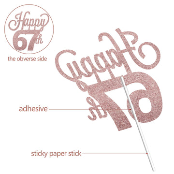 Lingteer Happy 67Th Birthday Cake Topper - Cheers To 67Th Birthday 67 Years Old Birthday Party Cake Decorations Sign.