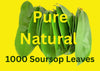 Purelife Herbs 1000 Soursop Leaves Organic