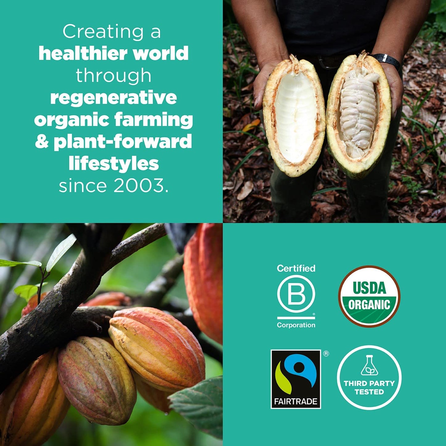 Navitas Organics Cacao Nibs, 8 Oz. Bag, 76 Servings — Organic, Non-Gmo, Fair Trade, Gluten-Free