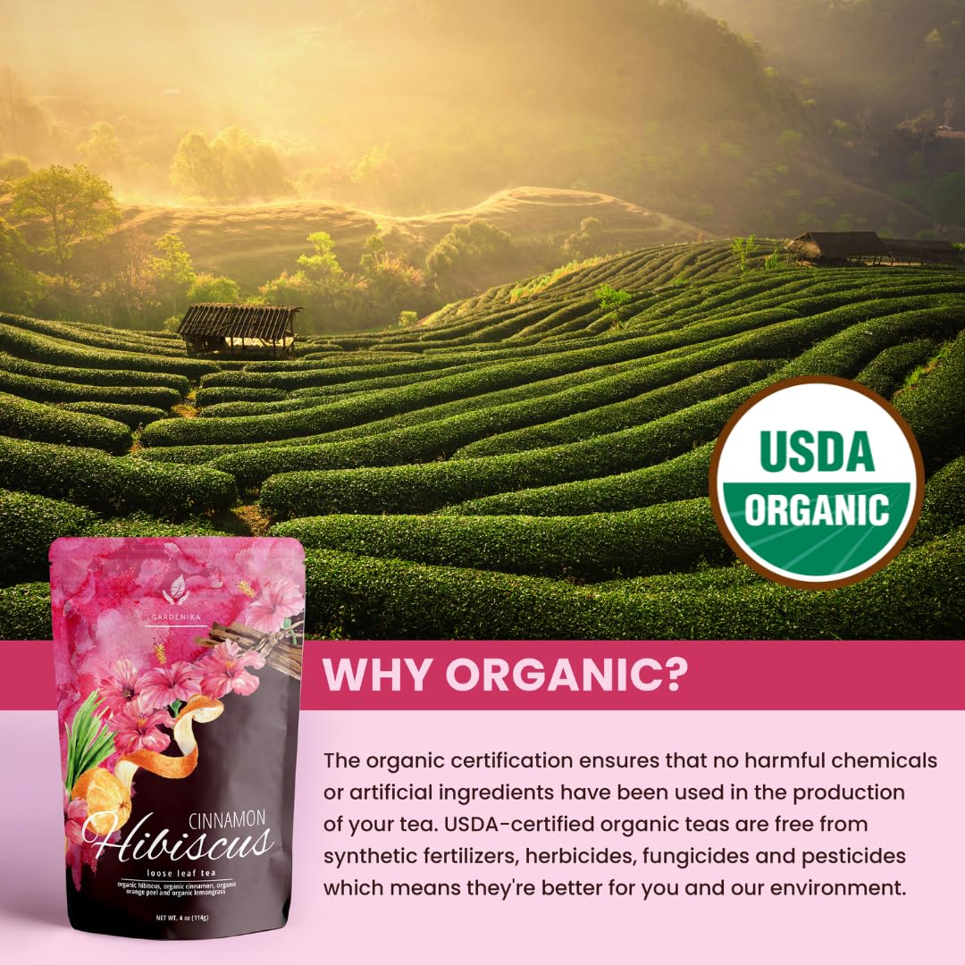 Gardenika Organic Cinnamon Hibiscus Loose Leaf Tea | Caffeine-Free | USDA Organic | 4 oz