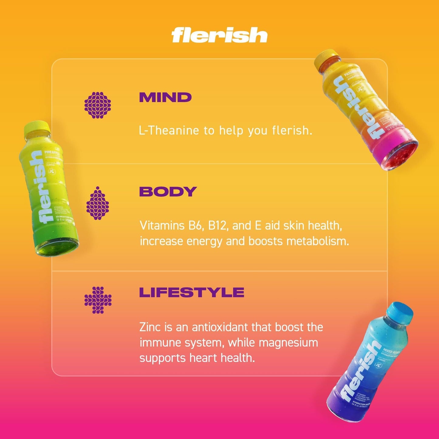 FLERISH Enhanced Hydration Drink | Watermelon-Based Functional Beverage with Electrolytes | Magnesium & L-Theanine | No Artifici