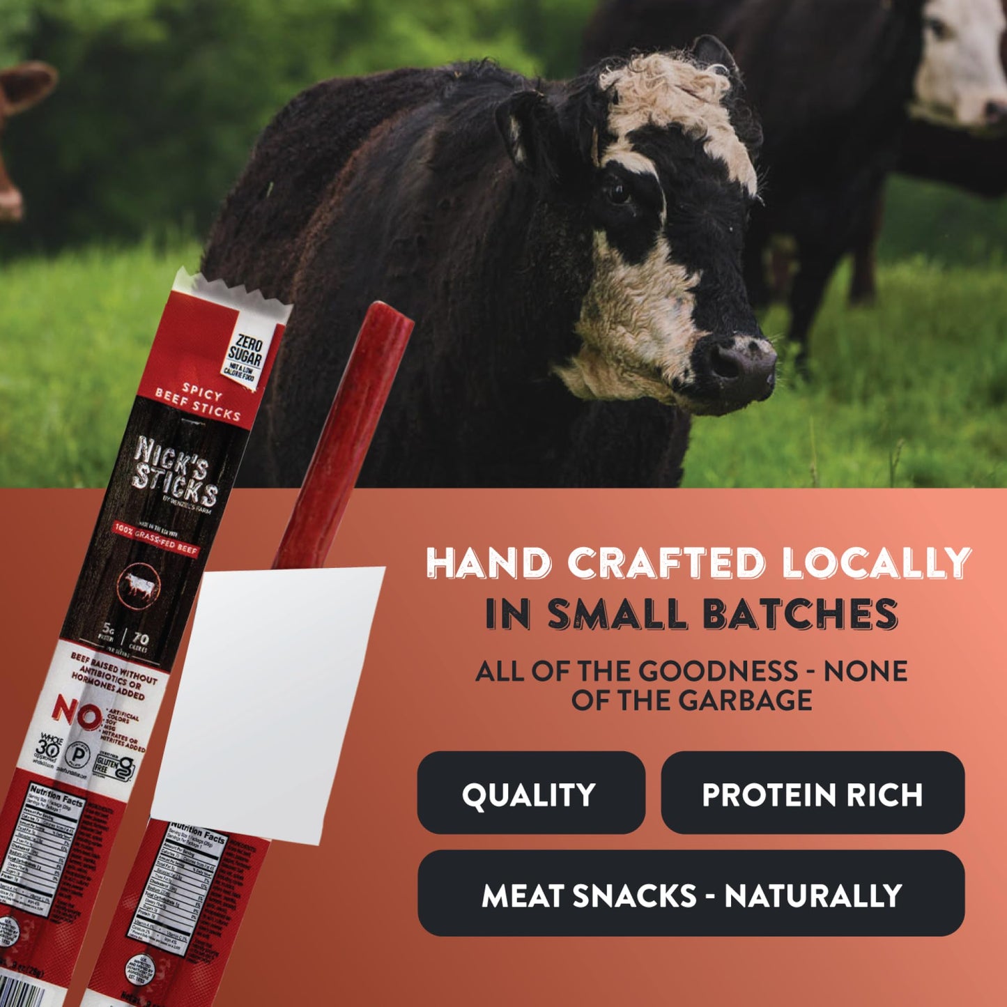Nicks Sticks Clean & Balanced 100% Grass-Fed Spicy Beef Snack Sticks | Made In The Usa | Gluten Free | Paleo, Keto, Whole30 Approved | No Soy, S Or S (12 –.9 Oz Packages Of 1 Stick)