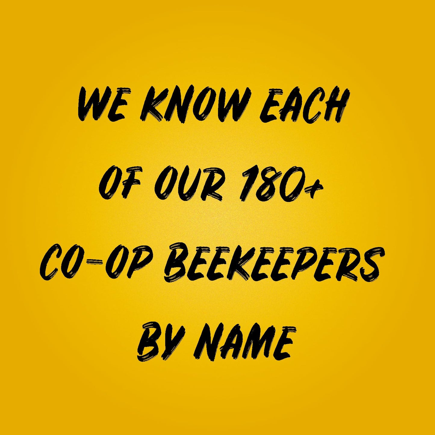 Sue Bee Honey Strained Unfiltered Co-op Honey 24 Oz Pack of 1