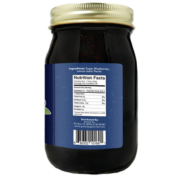 Green Jay Gourmet Blueberry Jam - All-Natural, Vegan, Gluten-Free - 20 Ounces