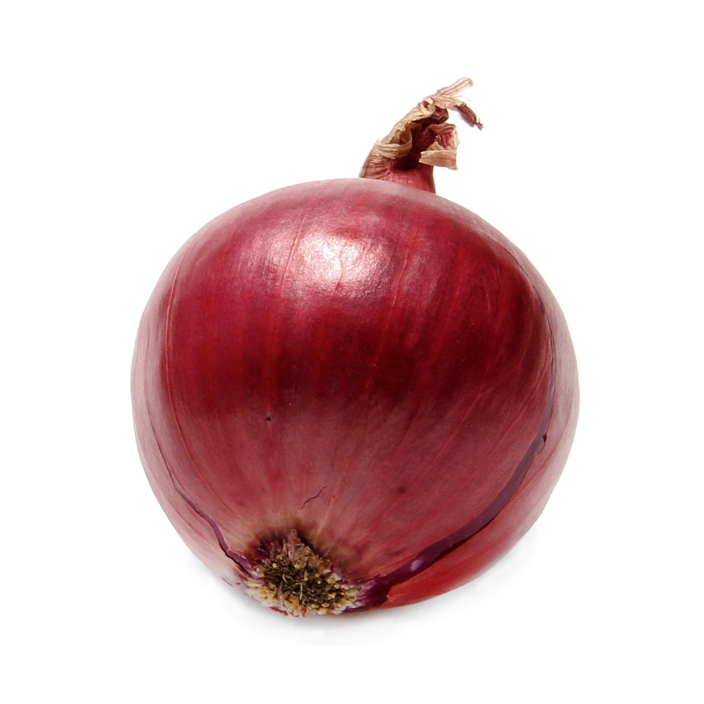 Produce Organic Red Onion Bunch