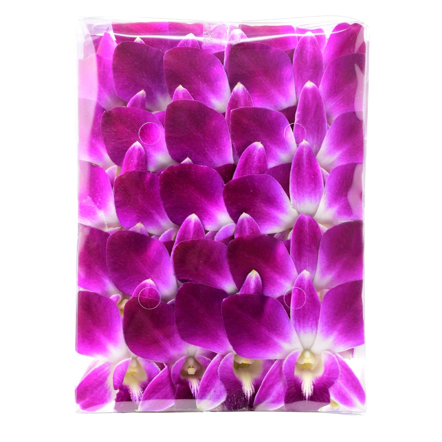 Miami Fresh Orchid Flower Orchidclub Usa Sunne Tropical Loose Bloom Diy Lei, Food & Drink Decoration (50 Purple)