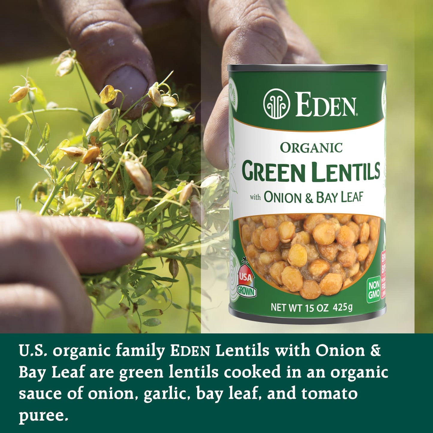 Eden Organic Lentils With Onion And Bay Leaf, 15-Ounce Cans (Pack Of 12) (Value