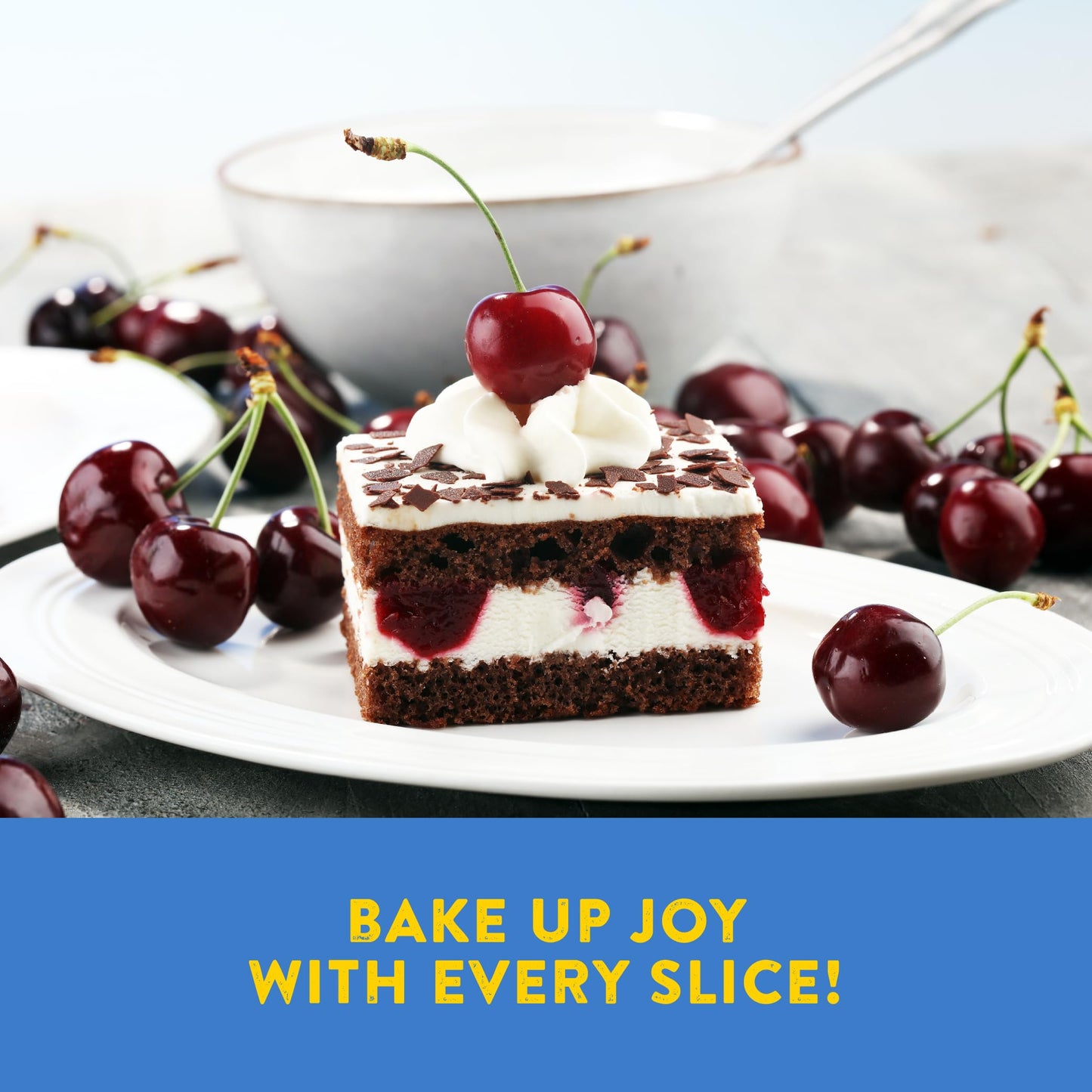 Kinnikinnick - Chocolate Cake Mix - Gluten Free, Allergy Friendly Cake Mix - 17.6 Oz. Box