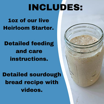Generic 100+ Year Old SAN FRANCISCO Sourdough Starter | 0.99 oz | Includes Easy Instructions & Recipe | Perfect for Baking Enthusiasts