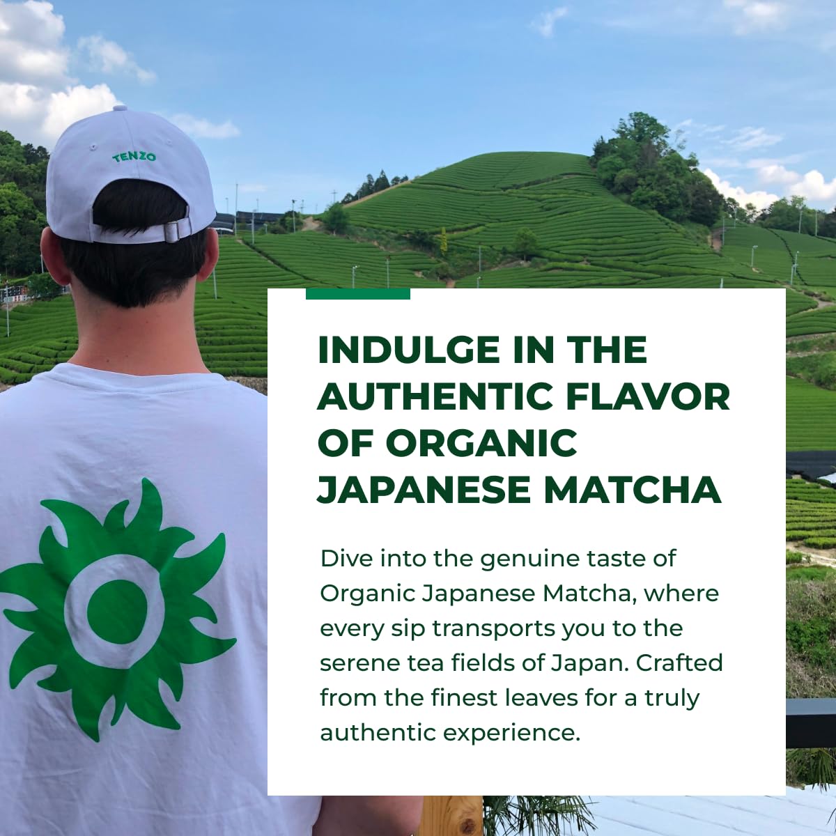 Tenzo Matcha Green Tea Powder - USDA Organic Ceremonial Grade - Perfect for Lattes - 1.06 Ounce