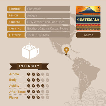 Guatemalan Coffee, Whole Bean Coffee, Premium Guatemala Antigua Single Origin Fresh Roasted Coffee Beans | Cubico Coffee | 12 Ounce Bag