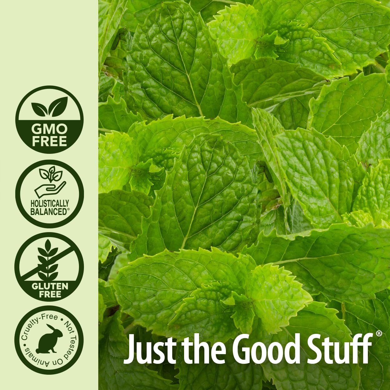 Nature’S Answer Usda Organic Peppermint Essential Oil, 100% Pure | Natural Aromatherapy Oil For Diffuser/Humidifier, Steam Distilled 0.5 Fl Oz. (15Ml) | Made In Usa