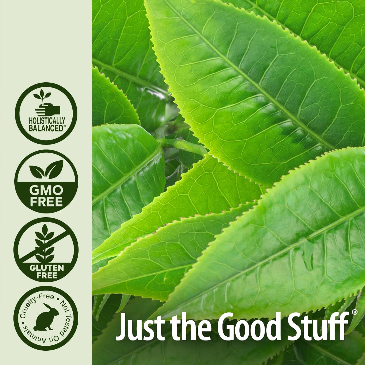 Nature’S Answer Usda Organic Tea Tree Essential Oil, 100% Pure | Natural Aromatherapy Oil For Diffuser/Humidifier, Steam Distilled 0.5 Fl Oz. (15Ml) | Made In Usa