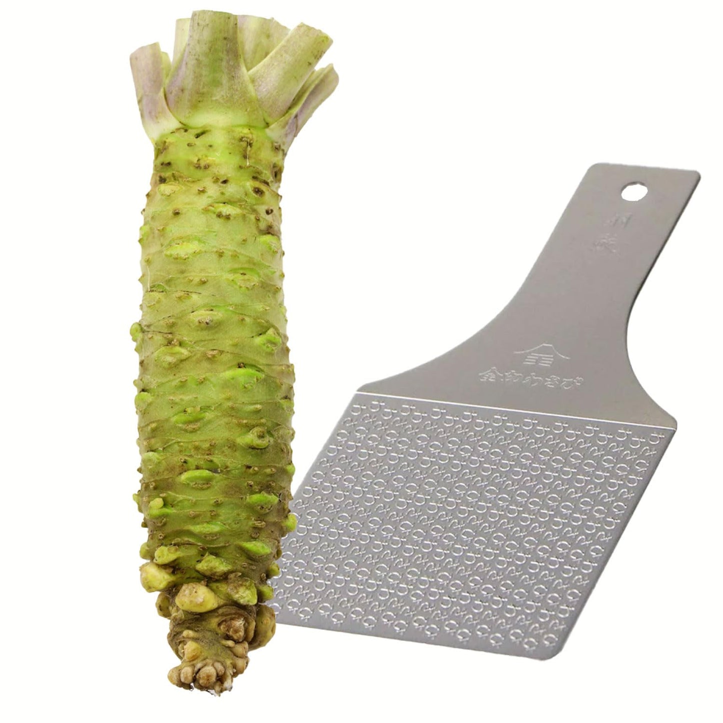 Nordic Catch Fresh Japanese Wasabi Root with Steel Shark Grater - Full Portion - Silver