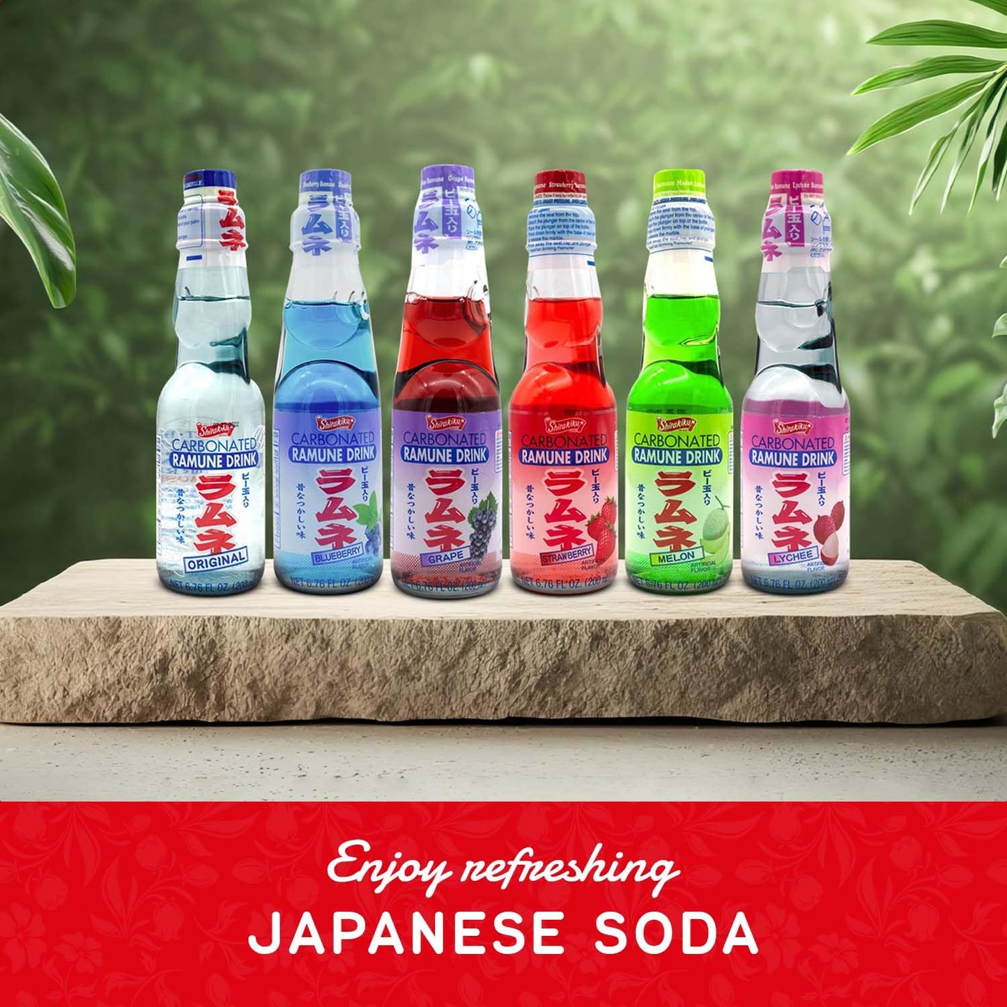 Shirakiku Ramune Japanese Soda Variety Pack | Japanese Marble Soda In Multiple Flavors | Original, Strawberry, Melon, Lychee, Gr