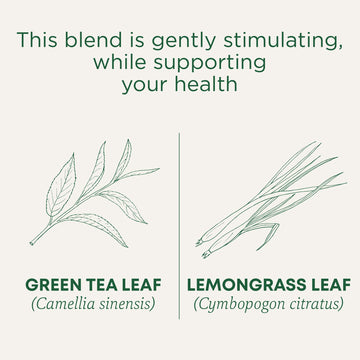 Traditional Medicinals Tea, Organic Green Tea Lemongrass, 16 Tea Bags