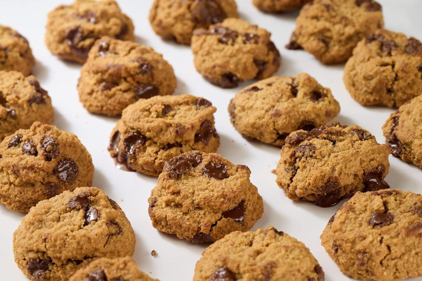Real Peanut Butter Chocolate Chip Mini Cookie Poppers - Bite-Sized Gluten Free Baked Cookies - Dairy Free, Vegan, Kosher, Paleo