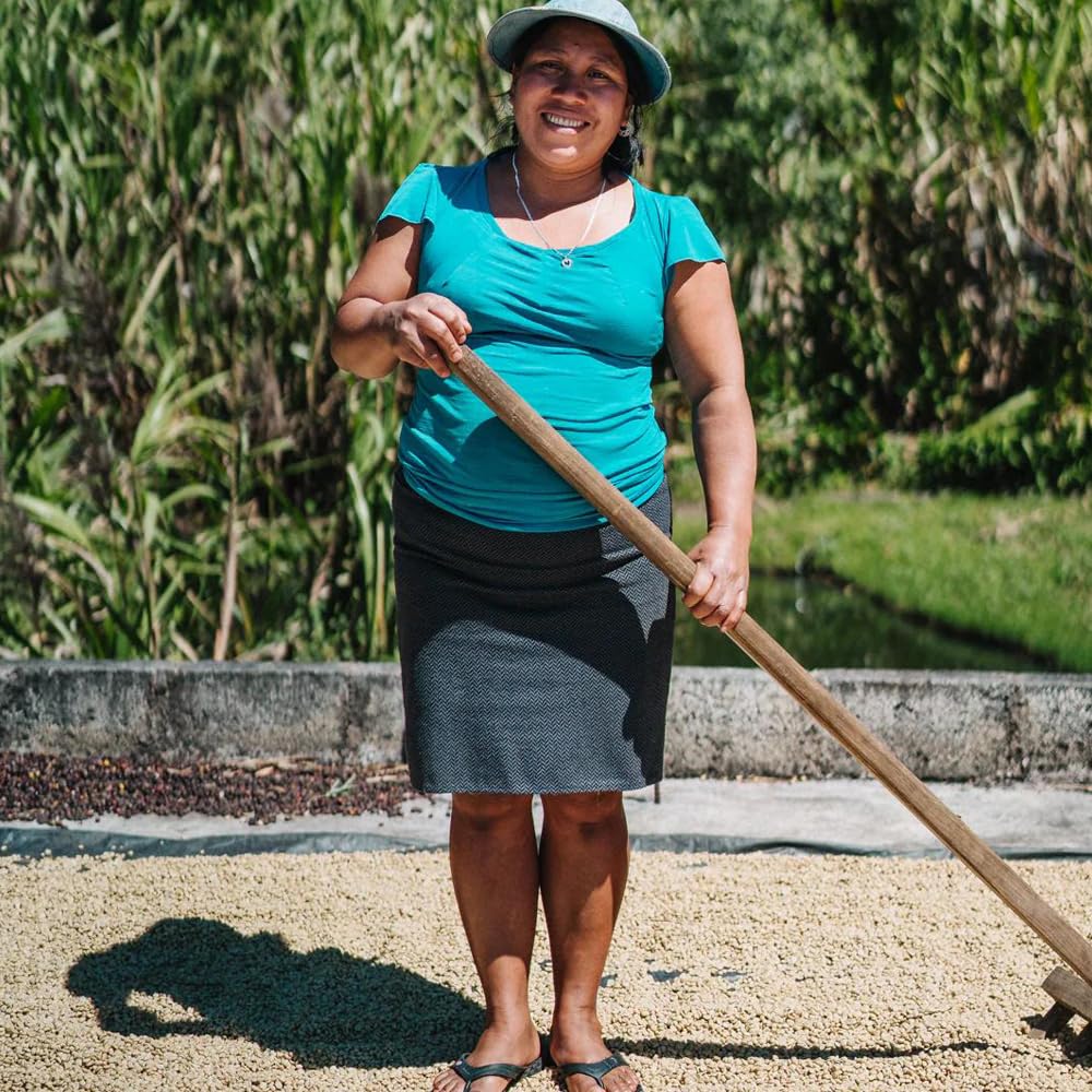 Verve Flash Brew Nitro Coffee - Guatemala Mujeres De Huehue - Light Roast Canned Coffee - 8.1 Fl Oz Can (6 Pack)