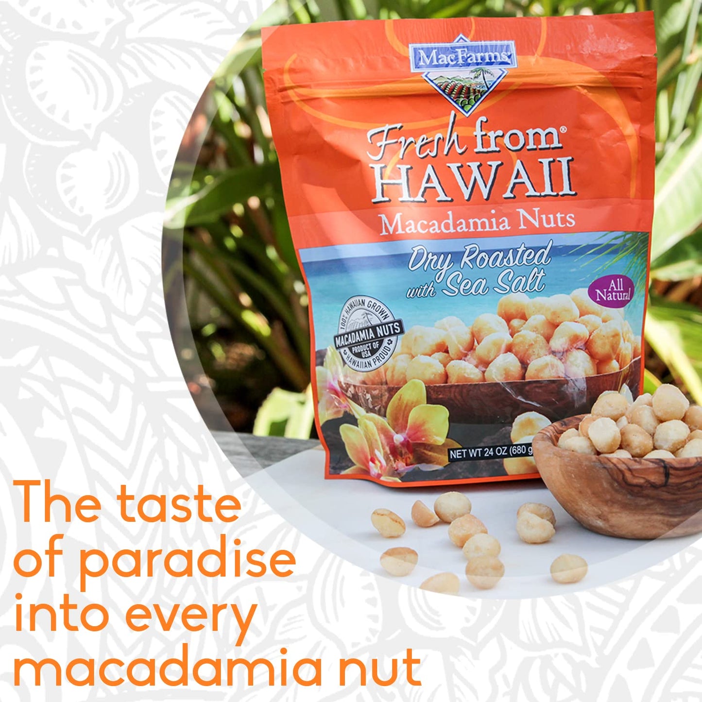 Macadamia Nuts | MacFarms Dry Roasted Macadamia Nuts 24 OZ (1 Pack) - Premium Roasted Nuts with Sea Salt Fresh From Hawaii, Sea