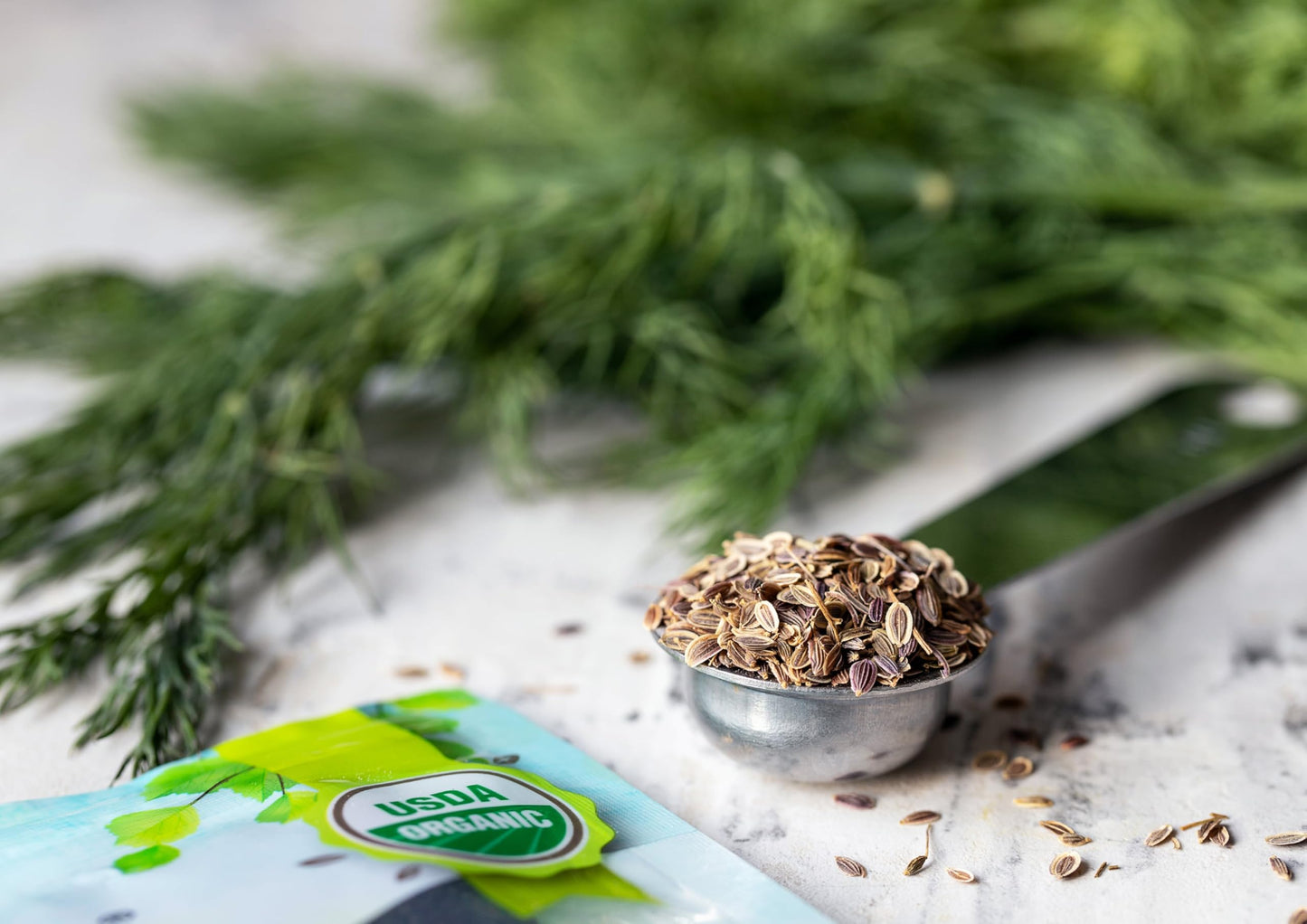 Food To Live - Organic Dill Seeds, 8 Ounces - Whole, Non-Gmo Spice, Non-Irradiated Seeds, Vegan, Dry, Bulk, High In Dietary Fiber, Calcium, Iron, Copper, Manganese, Magnesium And Zinc