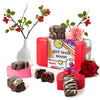 DavidS Cookies Get Well Soon Cookie Gift Basket - Gourmet Bakery Dessert Gift For Recovery Comfort And Appreciation Occasions - Chocolate Brownies Sweet Sampler Tin