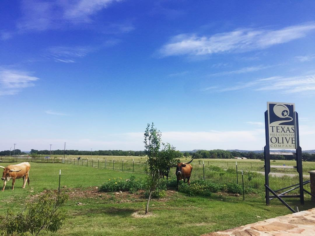 Pomegranate Balsamic Vinegar - Gourmet Barrel Aged Infused Balsamic Vinegar - Great For Dressing Dipping Glazing - No Artificial