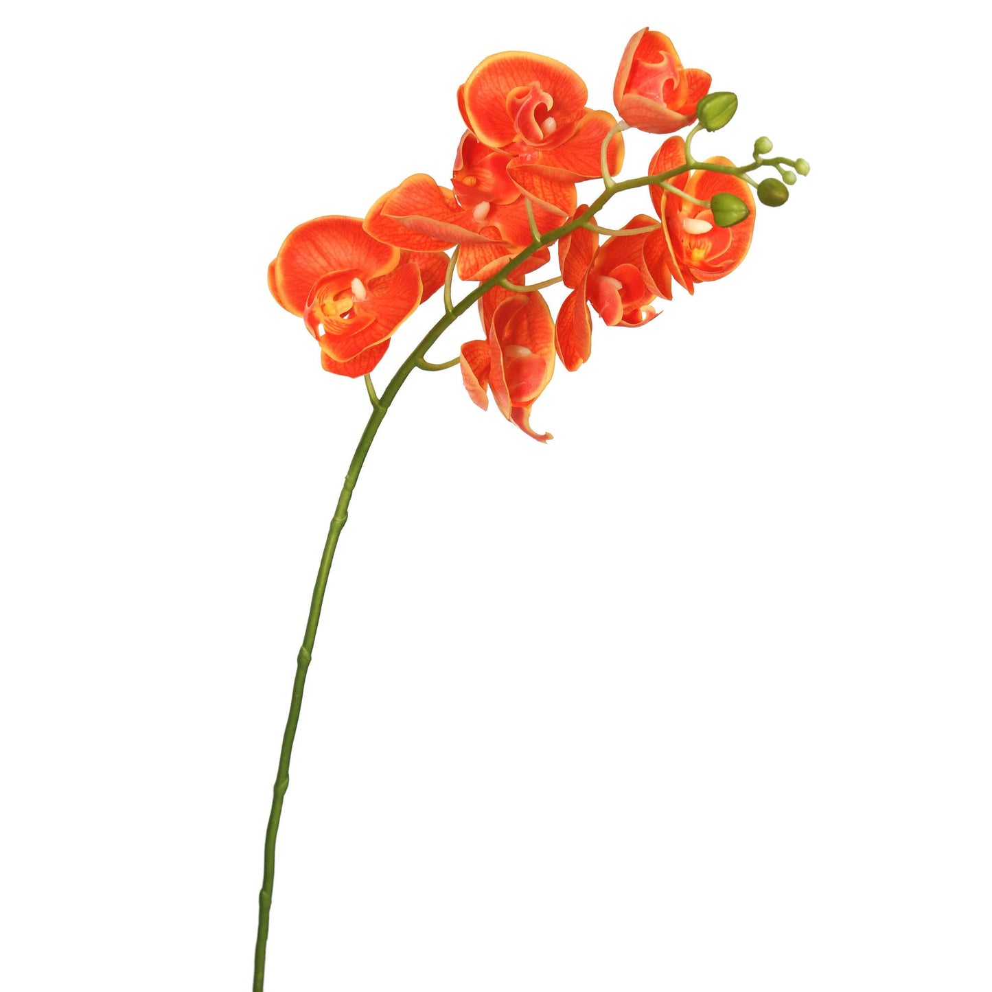 Vickerman Fa172203 Everyday Orchid Stem