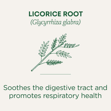 Traditional Medicinals Tea, Organic Licorice Root, Soothes the Digestive Tract & Promotes Respiratory Health, 96 Tea Bags (6 Pac