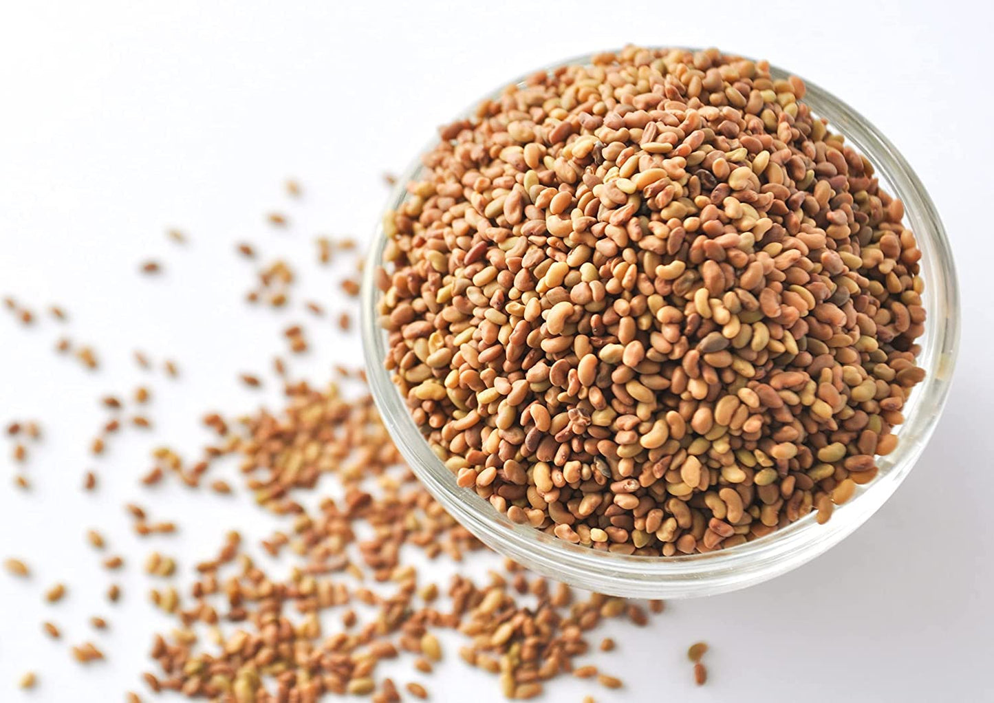 Food To Live - Alfalfa Seeds For Sprouting, 10 Pounds Edible Seeds, Pure, Vegan, Kosher, Bulk