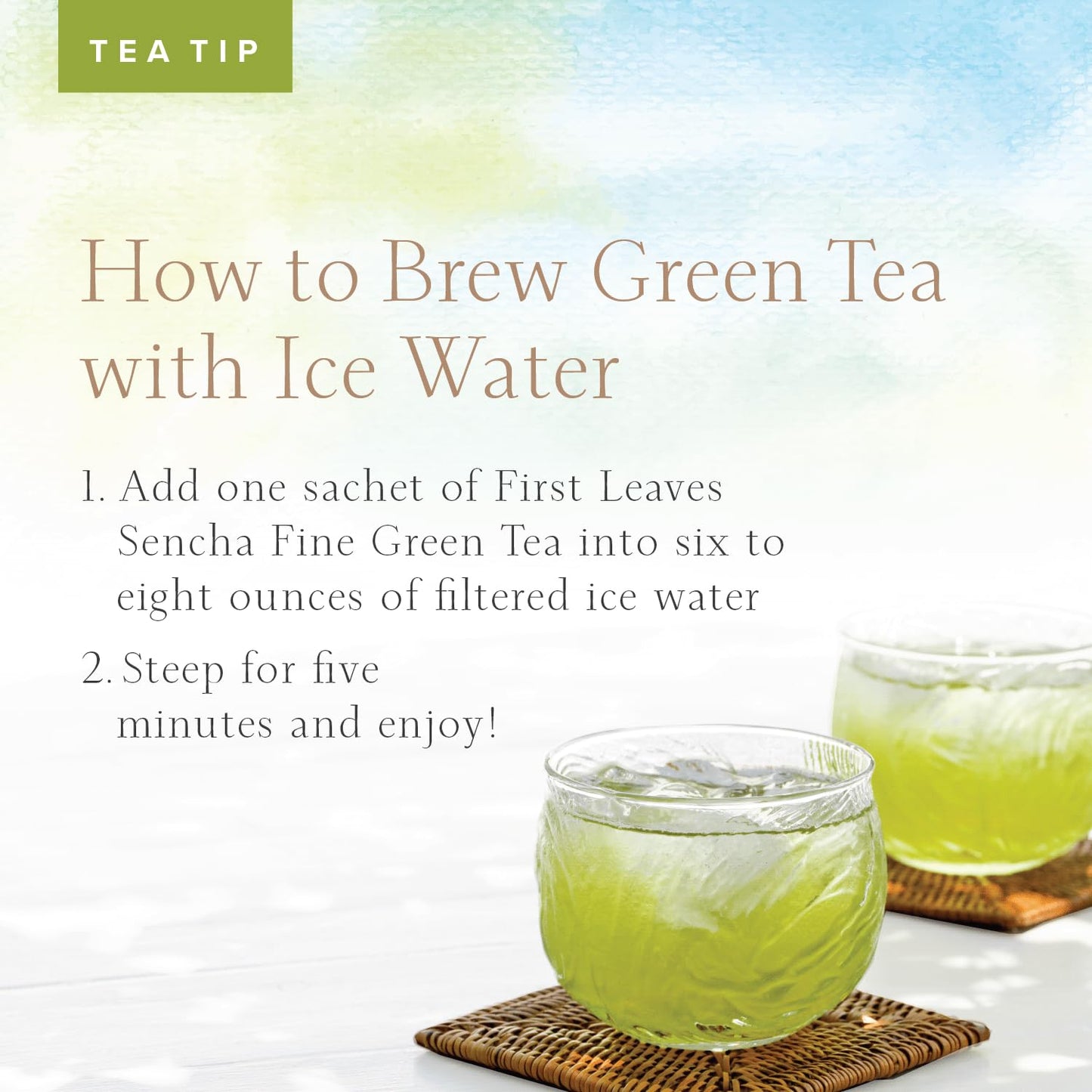 Sencha Green Tea Bag Sachets (25 Packets), Organic Japanese Green Tea Bags (25 Bags), Authentic Japanese Sencha Tea By First Leaves, 100 Grams