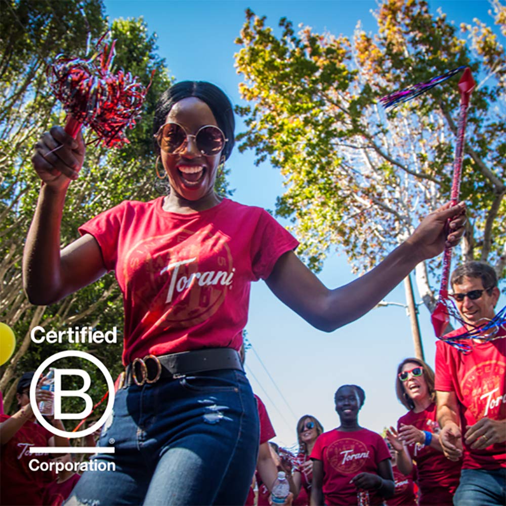 Torani Puremade Syrup, Pumpkin Spice, 25.4 Ounces (Pack Of 4)