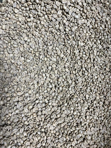 Smokin Beans 2-Pound Unroasted Green Coffee Beans, Guatemala Washed, Fresh Specialty Grade, 32 Ounce