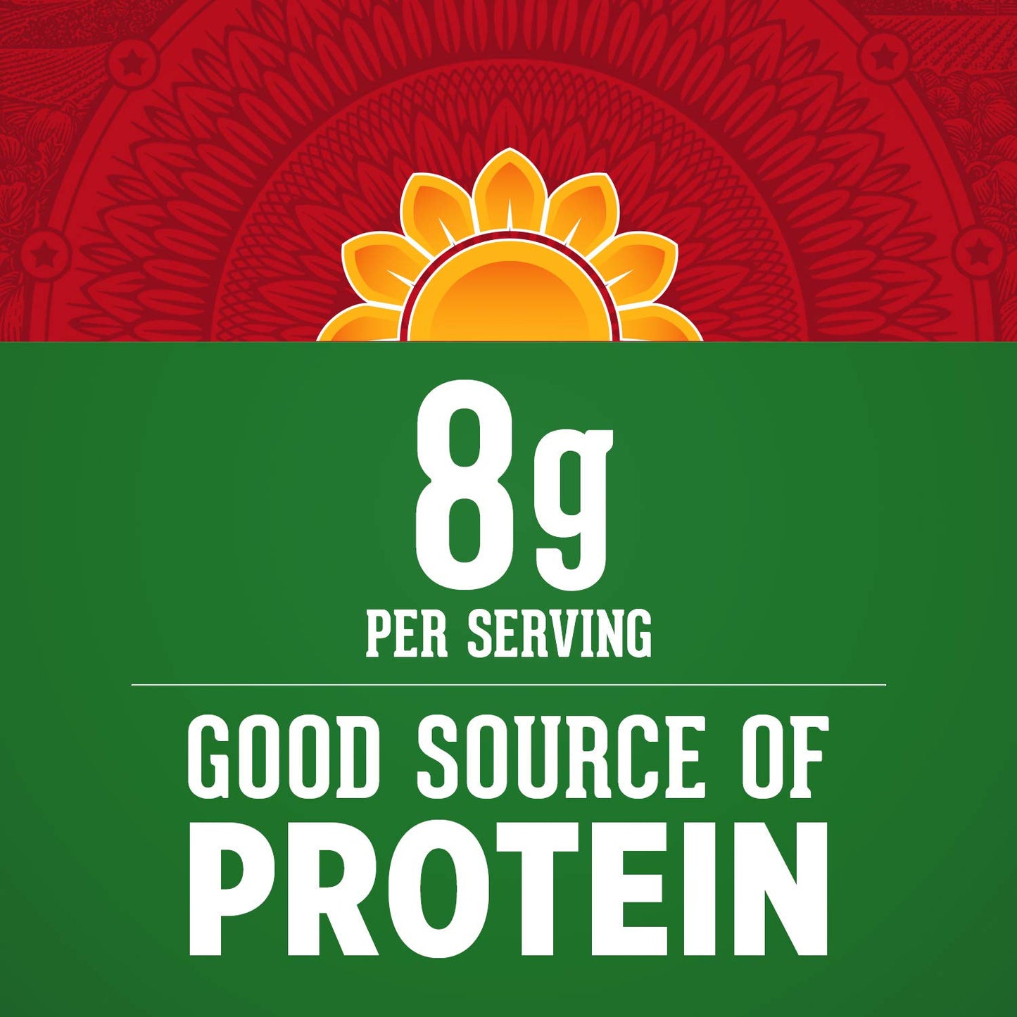 David Roasted And Salted All Natural Pumpkin Seeds, 5Oz. (Pack Of 12)