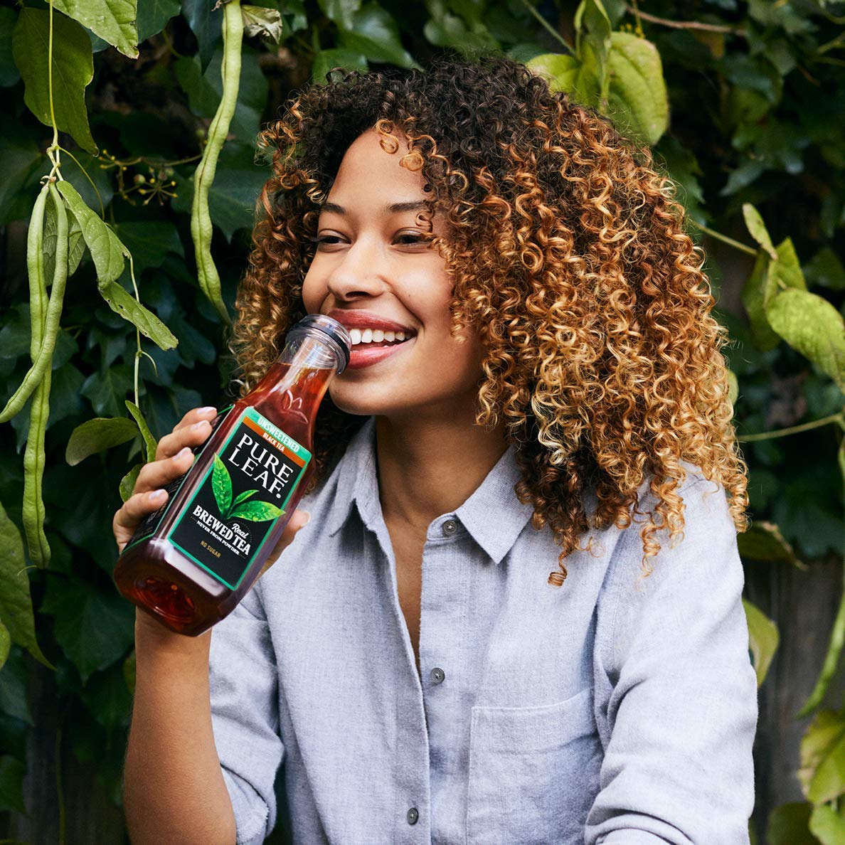 Pure Leaf Iced Tea, Unsweetened Real Brewed Tea, Zero Sugar & Zero Calories, 18.5 Fl Oz (Pack Of 12)