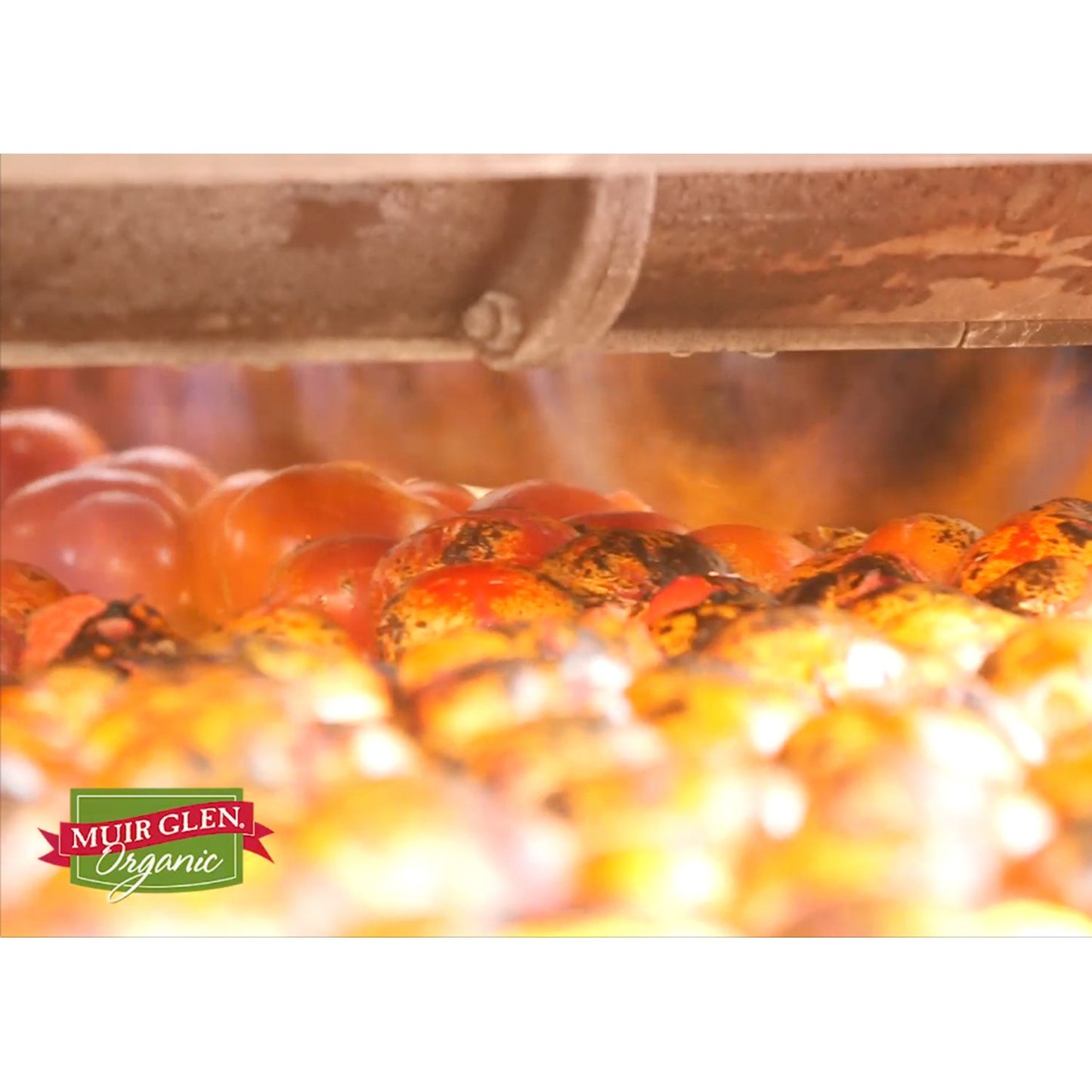 Muir Glen Crushed Fire Roasted Canned Tomatoes, 28 Oz. (Pack Of 12)