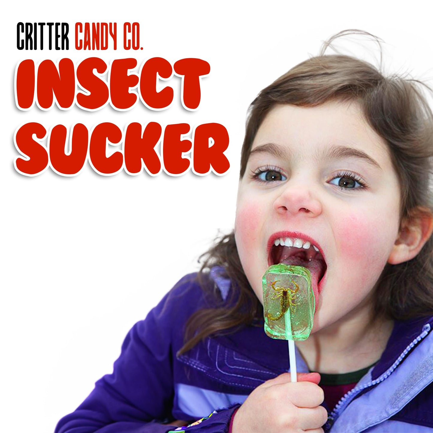 HotLix Insect Lollipops (4-Pack) | Includes Scorpion Worm Ants Cricket | Bug Candy Suckers Individually Wrapped | Bug Lollipops with Real Edible Insects | Weird Candy Pack