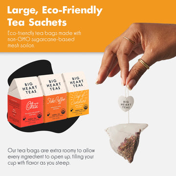 Big Heart Tea Co. Spicy Tea Bags Gift Set - Organic Herbal Tea Variety - 30 Bags - Zero Plastic Sachets