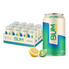 Bum Energy Sugar-Free Energy Drink, Citrus Burst, Lightly Carbonated, Natural Caffeine, 12 oz, Pack of 12