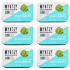 Dentist Recommended Myntz! Brand Mints - Wintermynt Blast Flavor 6 Tins X 1.75 Ounces Per Tin