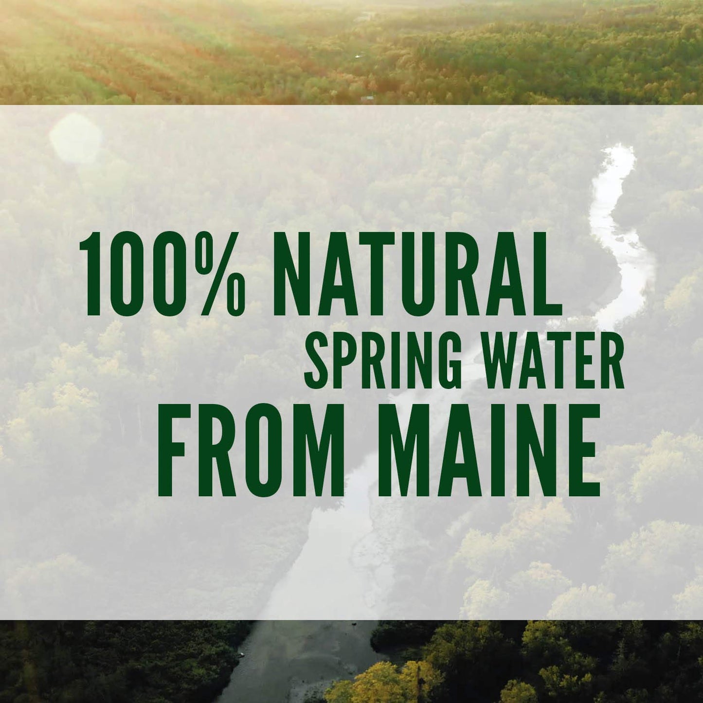 Poland Spring 100% Natural Spring Water, 101.4 Fl Oz,Pack Of 6