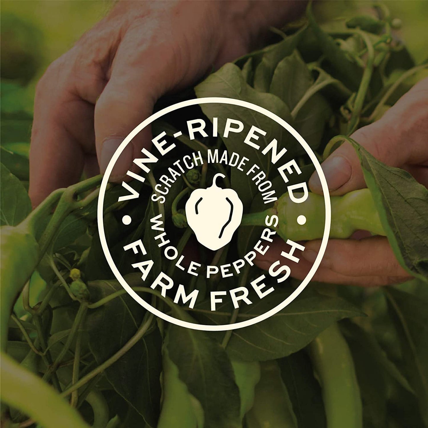 Miller'S Banana Pepper Mild Hot Sauce, Sweet Spicy Banana Pepper Sauce - Best Use For Chicken Wing, Burgers, Sandwich With Low S