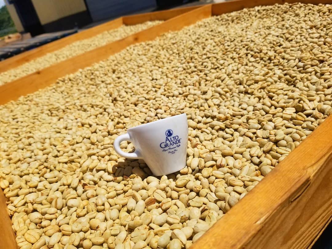 Alto Grande Super Premium Coffee Beans (6 Pounds)