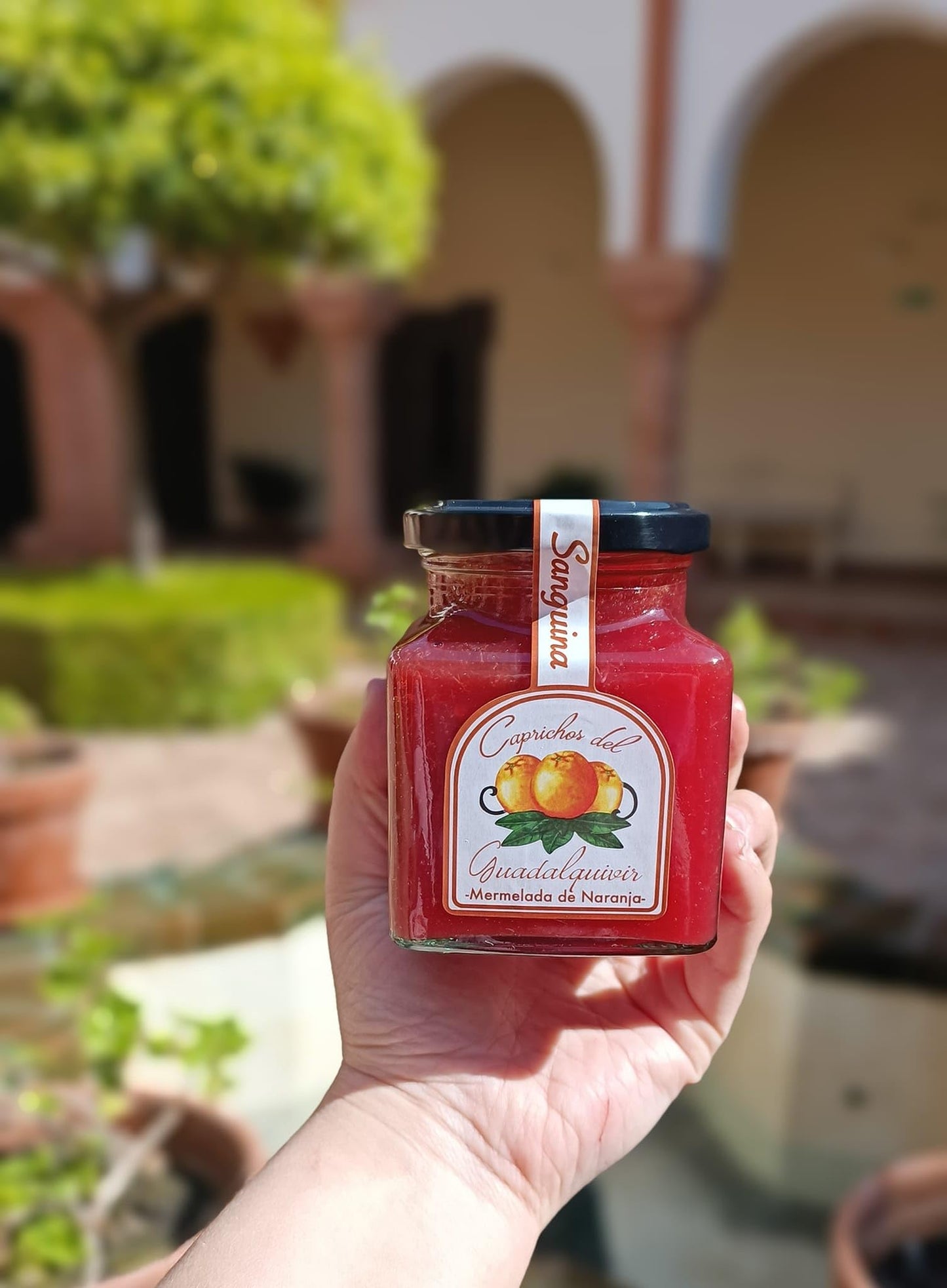 Caprichos Del Guadalquivir, Set Of 2 Jars, Cadenera Blood Orange Marmalade, 11 Oz, Imported From Spain