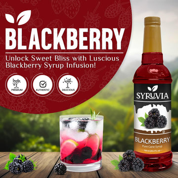 Syruvia Blackberry Syrup - Blackberry Syrup Flavor, 25.4 Fl Oz - Perfect For Cocktails, Ice Tea, Desserts, Italian Sodas, Ice An