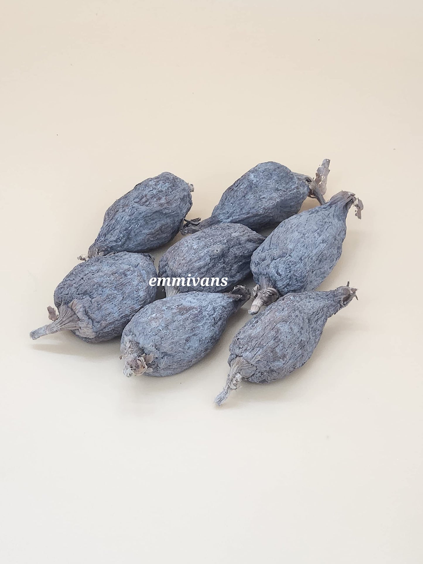 Emmivansfoods Alligator Pepper Pod,Grain Of Paradise, Atara, Mbongo, Hepper Pepper, Guinea Pepper, Pimienta De Guinea,African Sp