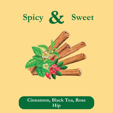 Tadin Cinnamon Tea Blend, Herbal Tea with Caffeine, 24 Tea Bags, Pack of 6